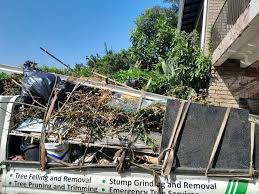 Best Attic Cleanout  in Glencoe, FL